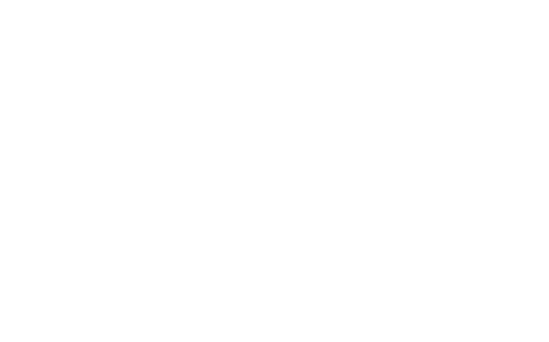 Fs Fencing